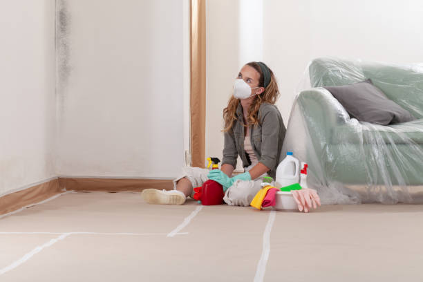 Reliable Mold Cleanup contractor in Lebanon, IL by WQB Mold Removal